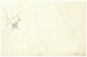 Visualizza l'immagine "FD D 2921 v."